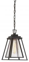 Minka-Lavery 73114-226 - SLEEPY HOLLOW - 1 LIGHT CHAIN HUNG