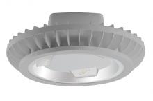 RAB Lighting HAZBLED42FA-G - HAZLED 42W COOL LED WALL BRKT AMBER FROSTED GLOBE WIRE GUARD