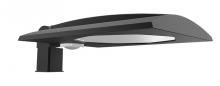 RAB Lighting IVAT4-45LSF740ZU/WS4LC - IVELOT T4 40W 4500L SF 4K 70CRI BZ 120-277V DIM WS4 LC