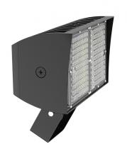RAB Lighting PIPXL100TNW/D10/PFS - PIP XL FLOODLIGHT 100W NEUTRAL