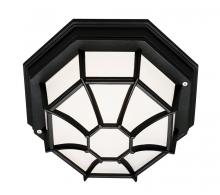 Trans Globe 40581 BK - 1LT FLUSH-SPIDER-SML-OUTD-FROS