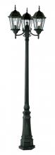 Trans Globe 4719 BK - 3 LT POLE- CLEAR LEADED GLASS