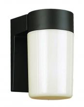 Trans Globe 4810 BK - 1LT WALL-OUTD-CYLINDER OPAL GL