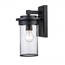 Trans Globe 51410 BK - 1LT OUTD WALL-6" CLEAR FLUTED
